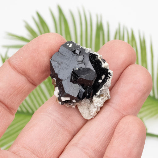 Black Tourmaline 20.07 g 19x38mm - InnerVision Crystals