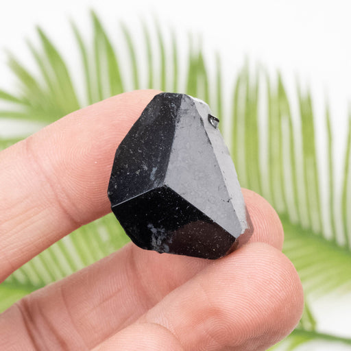 Black Tourmaline 20.16 g 20x28mm - InnerVision Crystals