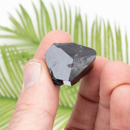 Black Tourmaline 20.79 g 22x20mm - InnerVision Crystals