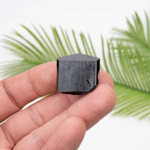 Black Tourmaline 22.43 g 25x25mm - InnerVision Crystals
