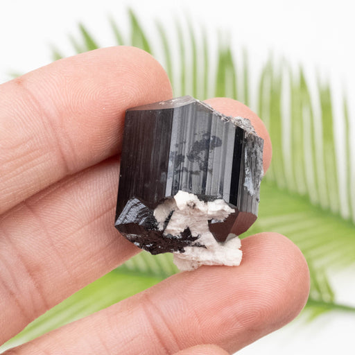 Black Tourmaline 22.50 g 28x22mm - InnerVision Crystals