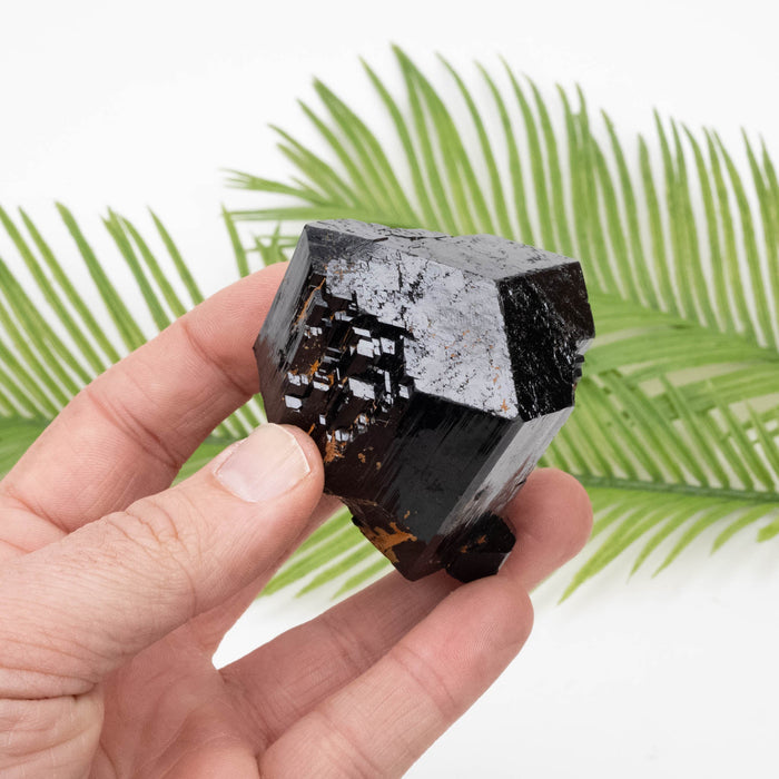 Black Tourmaline 226 g 54x57mm - InnerVision Crystals