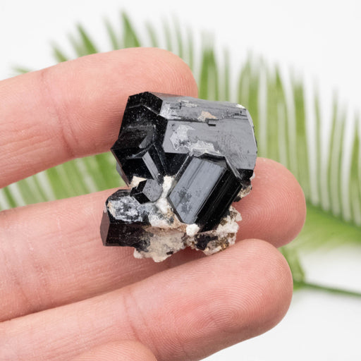 Black Tourmaline 22.72 g 27x19mm - InnerVision Crystals