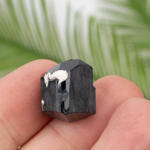 Black Tourmaline 23.79 g 32x23mm - InnerVision Crystals
