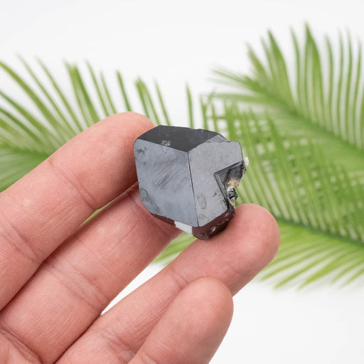 Black Tourmaline 25.62 g 22x29mm - InnerVision Crystals