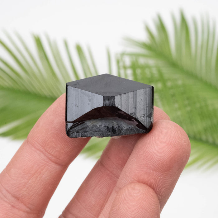 Black Tourmaline 25.62 g 22x29mm - InnerVision Crystals