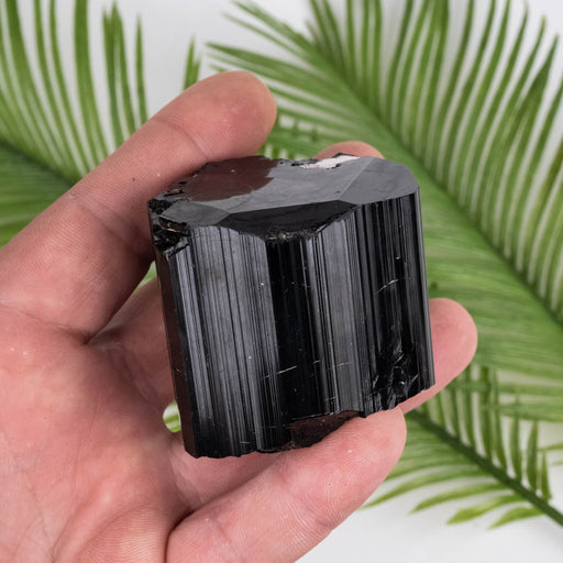 Black Tourmaline 263 g 59x51mm - InnerVision Crystals