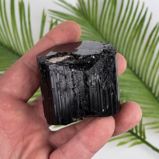 Black Tourmaline 263 g 59x51mm - InnerVision Crystals