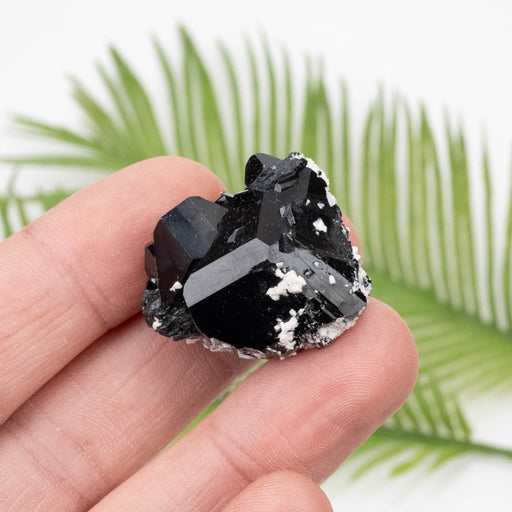 Black Tourmaline 26.31 g 26x29mm - InnerVision Crystals