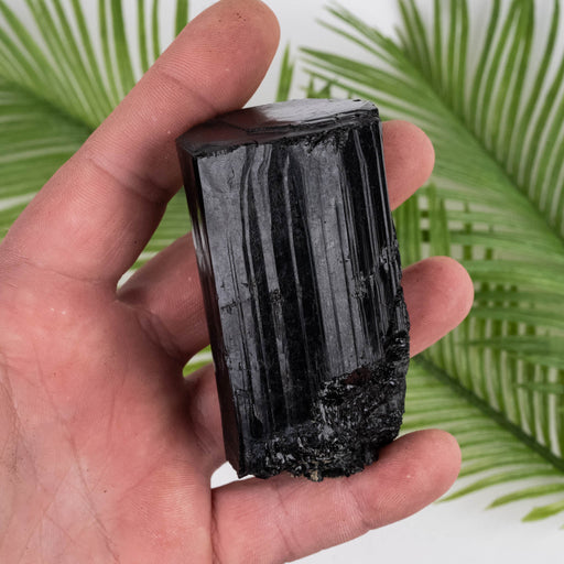 Black Tourmaline 269 g 77x42mm - InnerVision Crystals