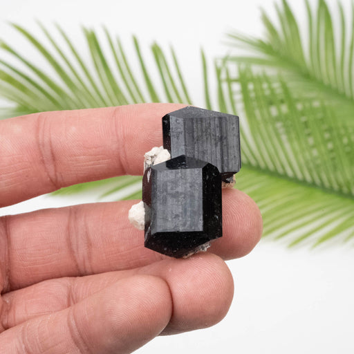 Black Tourmaline 26.90 g 37x27mm - InnerVision Crystals