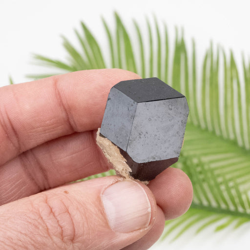 Black Tourmaline 27.10 g 28x26mm - InnerVision Crystals