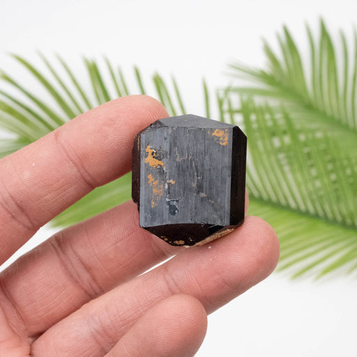 Black Tourmaline 30.15 g 33x28mm - InnerVision Crystals