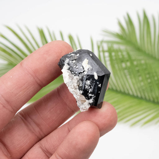 Black Tourmaline 30.38 g 31x26mm - InnerVision Crystals