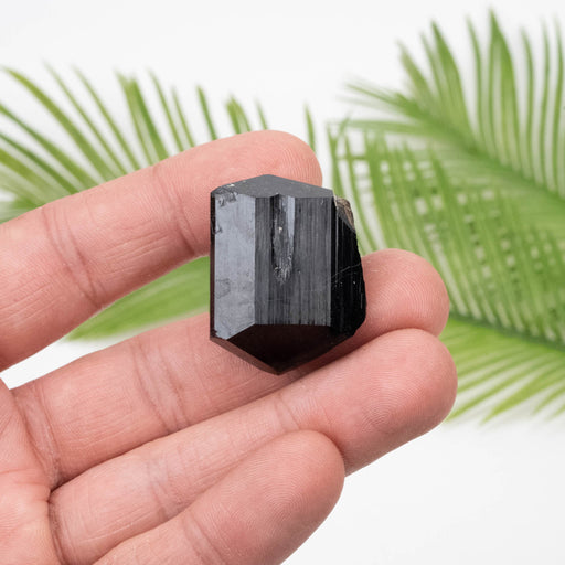 Black Tourmaline 30.58 g 33x25mm - InnerVision Crystals