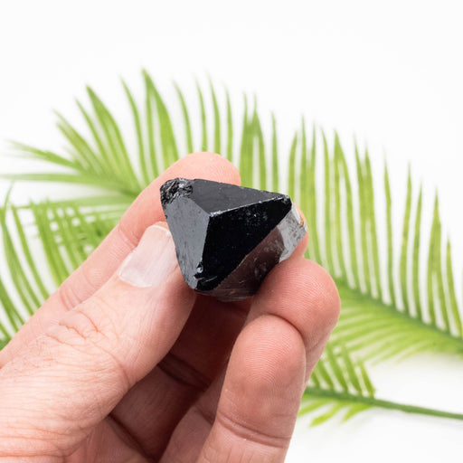 Black Tourmaline 31 g 32x27mm - InnerVision Crystals