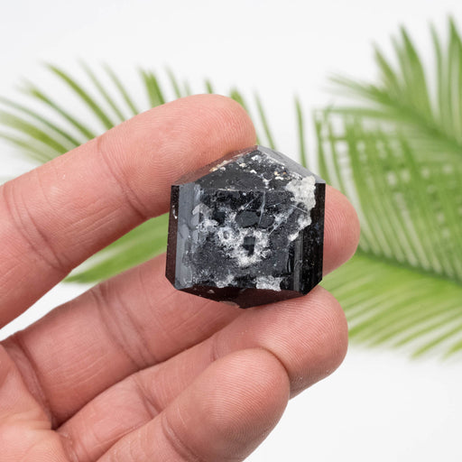 Black Tourmaline 32.40 g 29x27mm - InnerVision Crystals