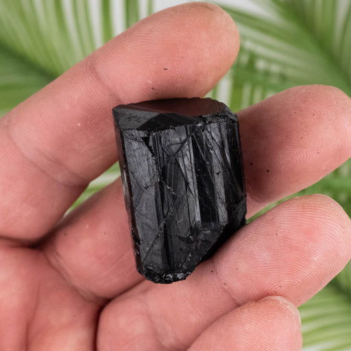 Black Tourmaline 33 g 32x25mm - InnerVision Crystals