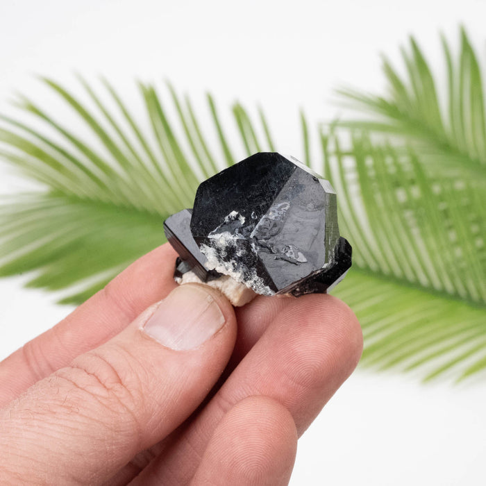 Black Tourmaline 34.52 g 32x25mm - InnerVision Crystals