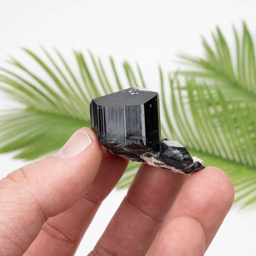 Black Tourmaline 34.52 g 32x25mm - InnerVision Crystals