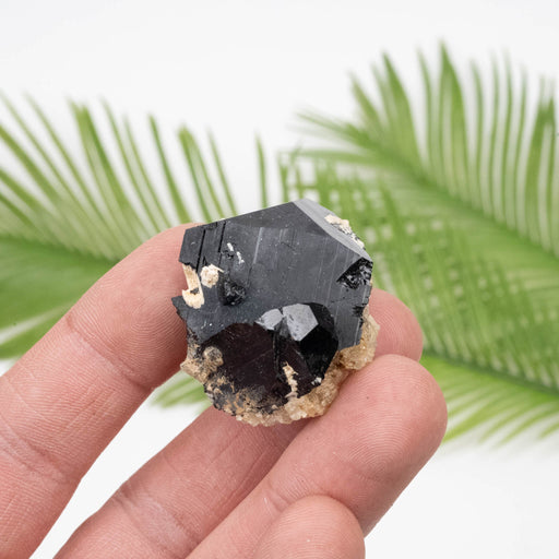 Black Tourmaline 34.74 g 36x32mm - InnerVision Crystals