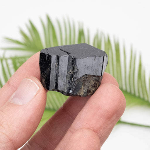 Black Tourmaline 34.93 g 23x30mm - InnerVision Crystals