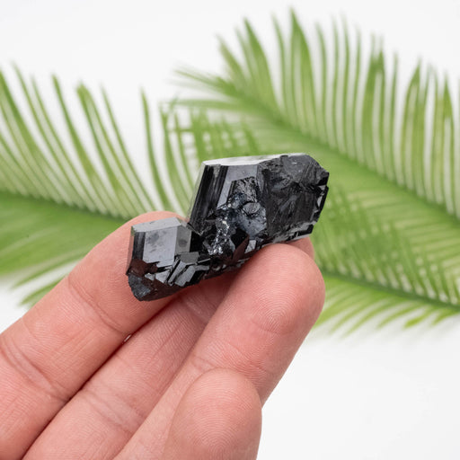 Black Tourmaline 36.98 g 37x25mm - InnerVision Crystals