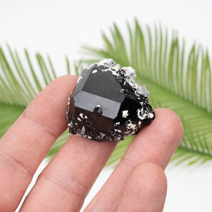 Black Tourmaline 38.63 g 31x34mm - InnerVision Crystals