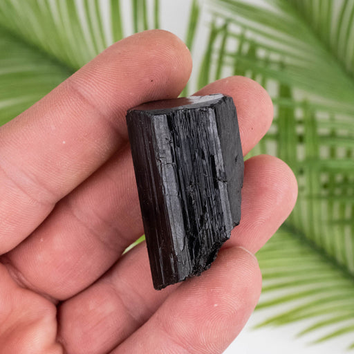 Black Tourmaline 39 g 41x22mm - InnerVision Crystals