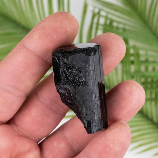 Black Tourmaline 39 g 41x22mm - InnerVision Crystals