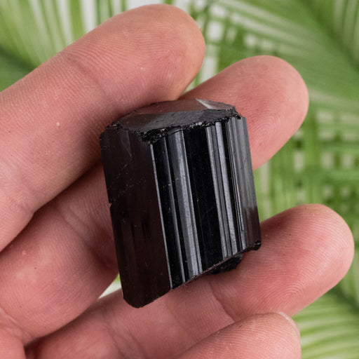 Black Tourmaline 40 g 35x24mm - InnerVision Crystals