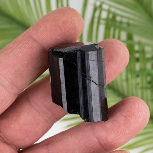 Black Tourmaline 40 g 35x24mm - InnerVision Crystals