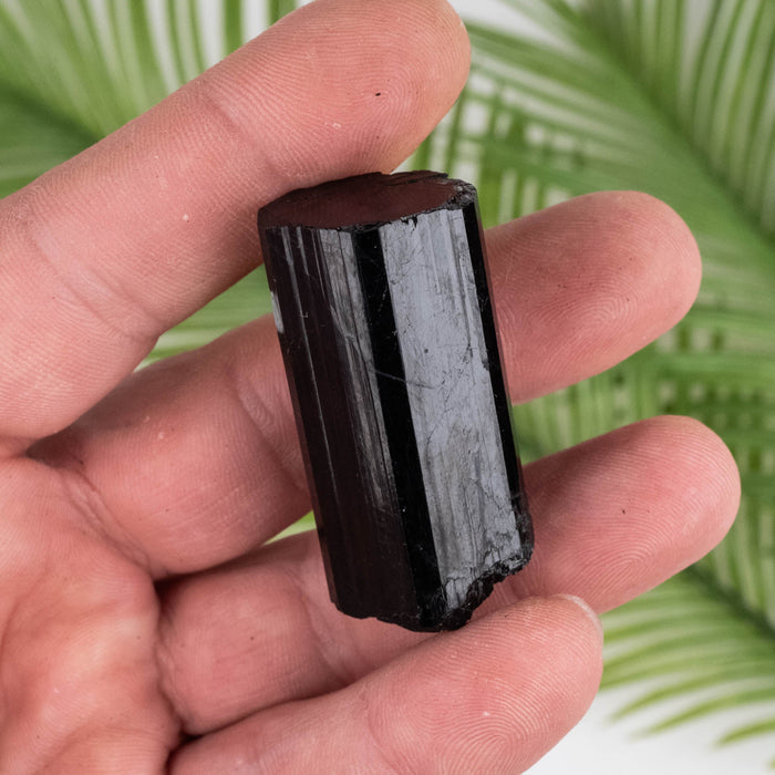 Black Tourmaline 40 g 47x23mm - InnerVision Crystals