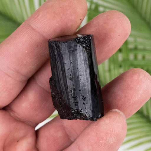 Black Tourmaline 41 g 38x22mm - InnerVision Crystals