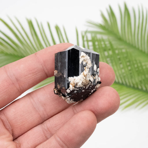 Black Tourmaline 42 g 35x26mm - InnerVision Crystals