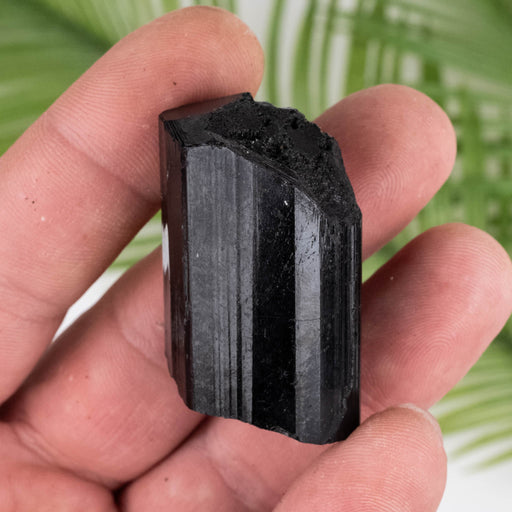 Black Tourmaline 47 g 42x27mm - InnerVision Crystals