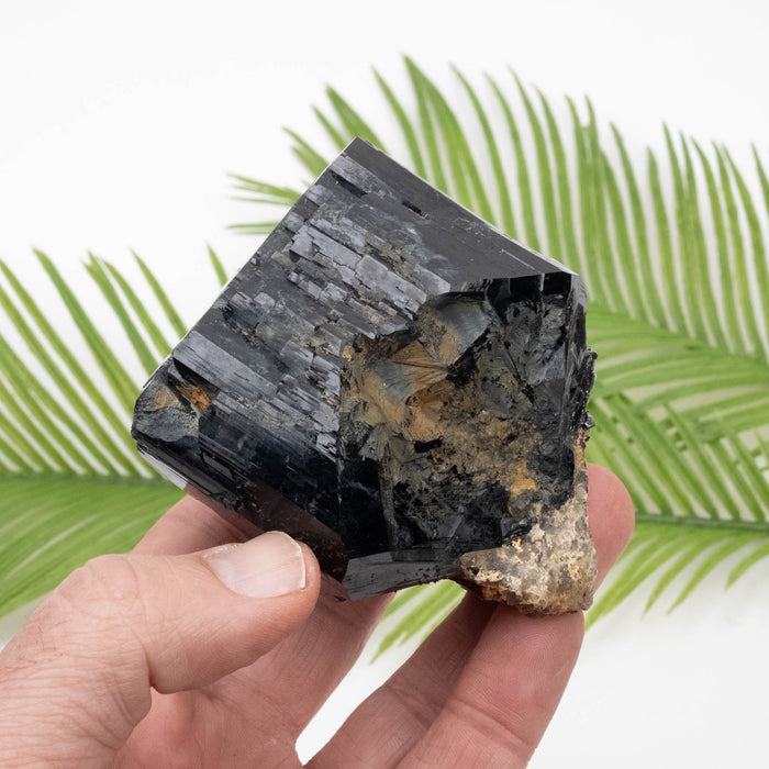 Black Tourmaline 473 g 81x65mm - InnerVision Crystals