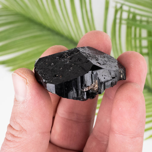 Black Tourmaline 49 g 45x23mm - InnerVision Crystals