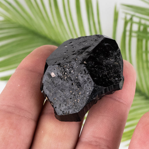 Black Tourmaline 49 g 45x23mm - InnerVision Crystals