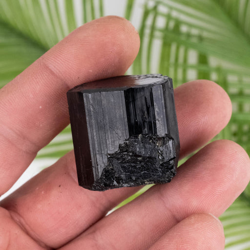 Black Tourmaline 50 g 31x28mm - InnerVision Crystals