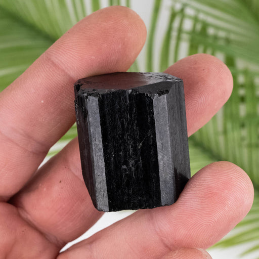 Black Tourmaline 50 g 31x28mm - InnerVision Crystals
