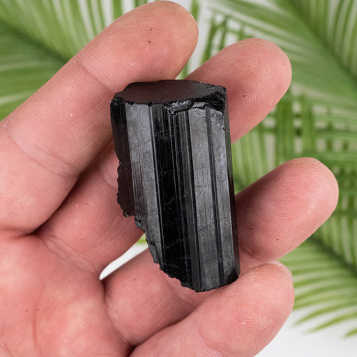 Black Tourmaline 51 g 45x25mm - InnerVision Crystals