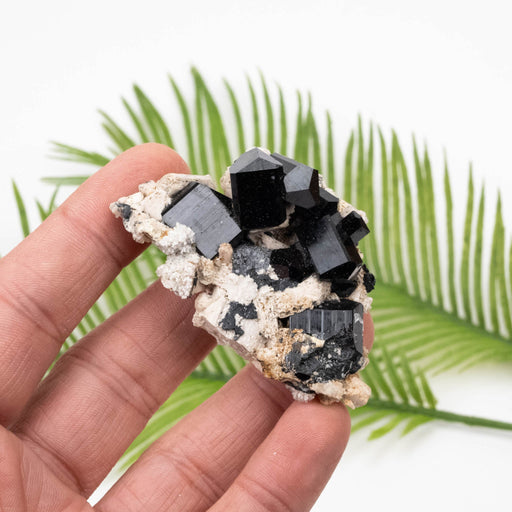 Black Tourmaline 52 g 29x51mm - InnerVision Crystals