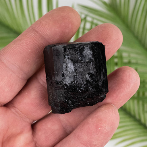 Black Tourmaline 54 g 37x32mm - InnerVision Crystals