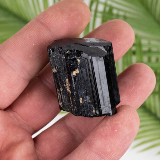 Black Tourmaline 55 g 32x29mm - InnerVision Crystals