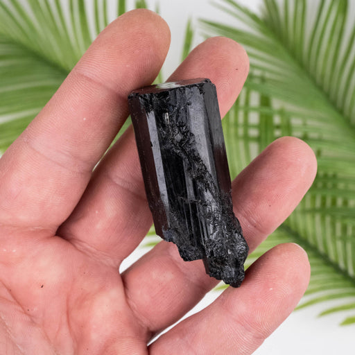 Black Tourmaline 58 g 57x24mm - InnerVision Crystals