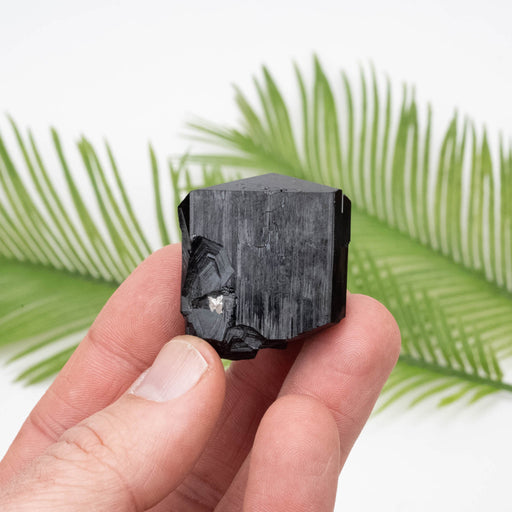Black Tourmaline 59.09 g 36x29mm - InnerVision Crystals