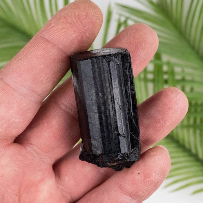 Black Tourmaline 60 g 53x25mm - InnerVision Crystals