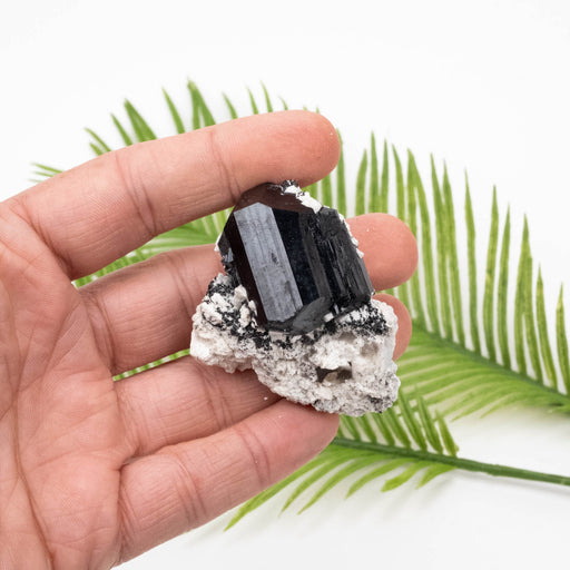 Black Tourmaline 60 g 61x27mm - InnerVision Crystals
