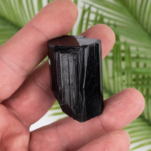 Black Tourmaline 61 g 40x27mm - InnerVision Crystals